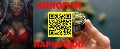 сатива Ставрополь