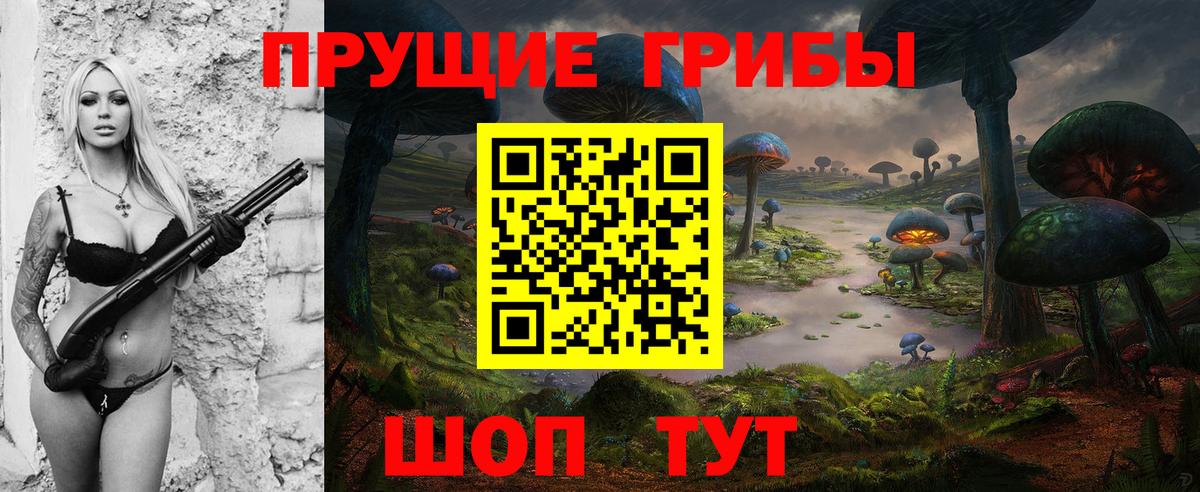 что такое   Псилоцибиновые грибы Magic Shrooms  Вход с VPN  Новошахтинск  Псилоцибиновые грибы GOLDEN TEACHER 