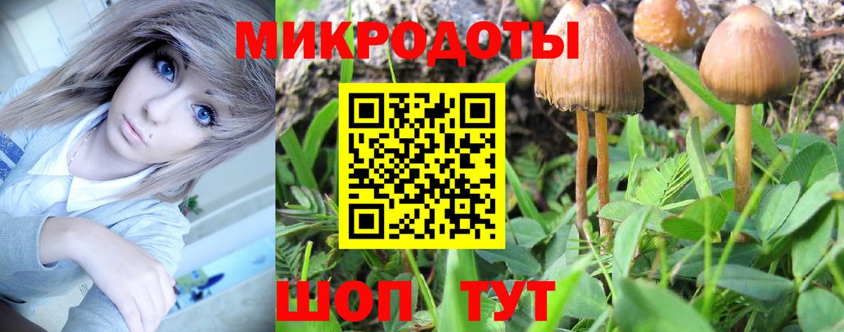 Галлюциногенные грибы ЛСД Новошахтинск